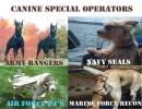 K9-Special-Operators.webp