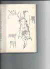 Scan0001.webp