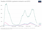 current-covid-patients-icu (2).png