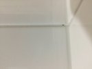 1633733074711.jpeg 1633733074711.jpeg