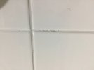 1633782911598.jpeg