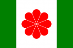Flag_of_Taiwan_proposed_1996.svg.png