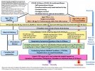 McCullough protocol 20220115.jpg