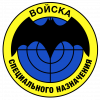 spetsnaz-emblem.png