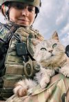 ukr-soldier.cat.jpg