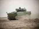 Image-2-Borsuk-IFV.jpg