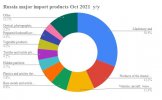 Russia major import products October 2021.jpg