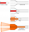 Recoilless_rifle_schematic.svg.png
