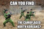 milmemes-eagle-funny-north-korea-memes.jpg