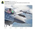 Kyiv Cat F16.jpeg