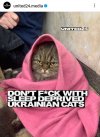 Angry Ukrainian Cat.jpeg