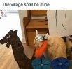 vikingcat.jpg