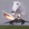 concorde.jpg