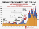 Trump-Immigration-chart.png