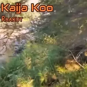 Kaija Koo - Raakut.mp4