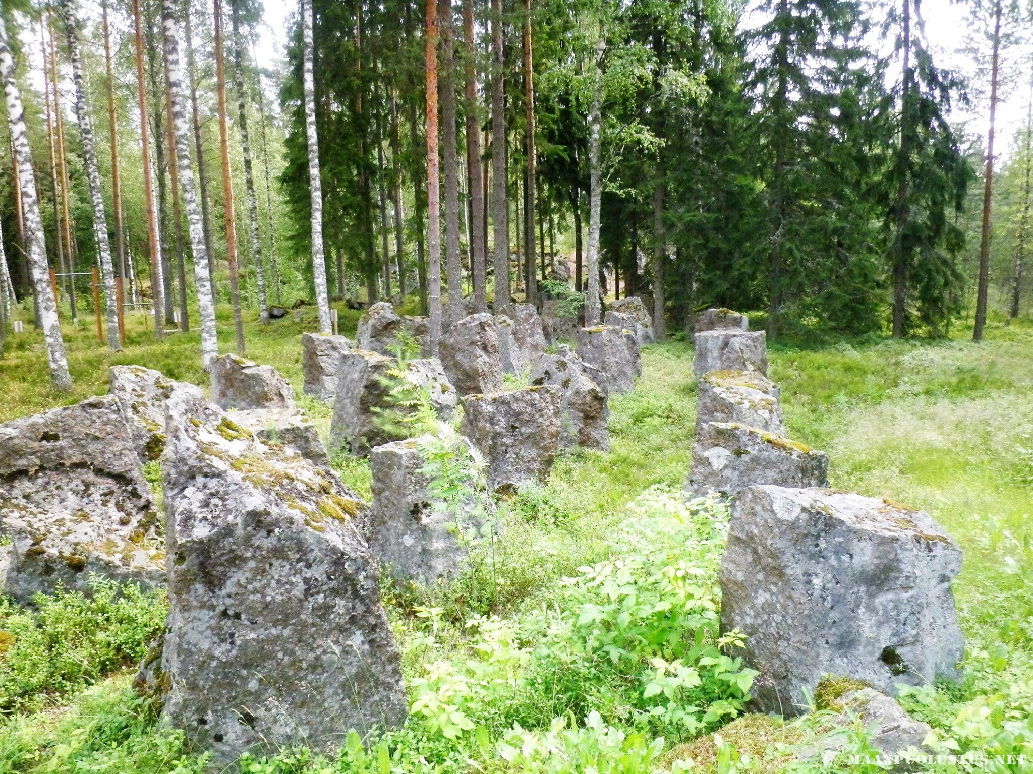 37.jpg