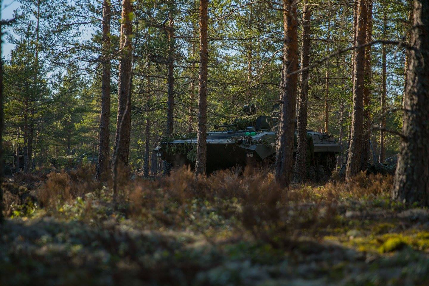 BMP2 metsän siimeksessä