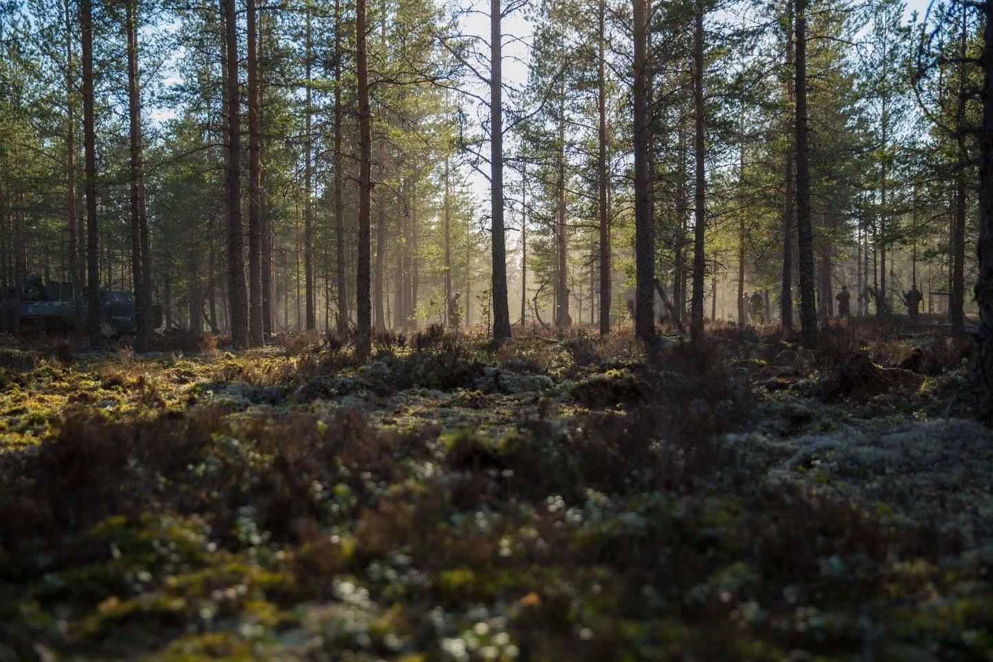 Metsä täynnä taistelijoita