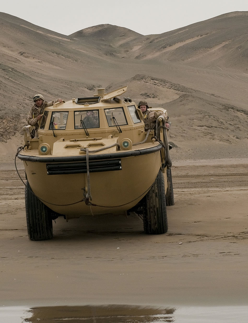 light-amphib-peru.jpg