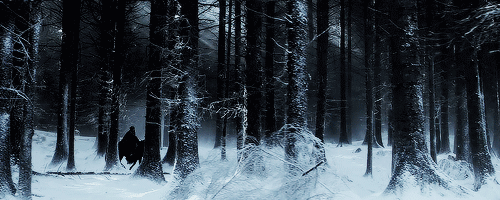 1c7dafd59aa4aa800b105fc6db712515e98ebcee_hq.gif