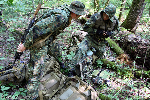 45ORP11-500x333.jpg