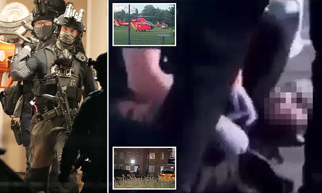 www.dailymail.co.uk