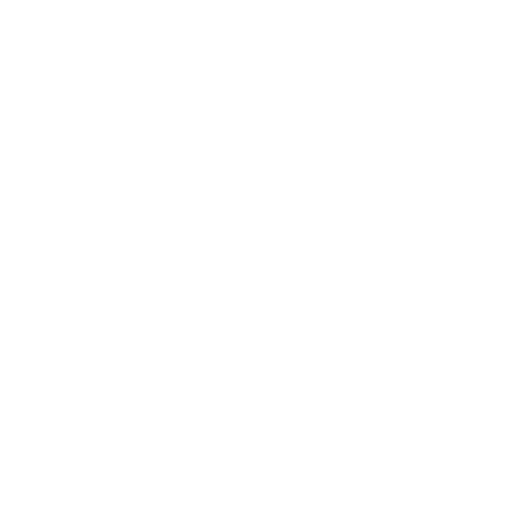 alpineeagle.com