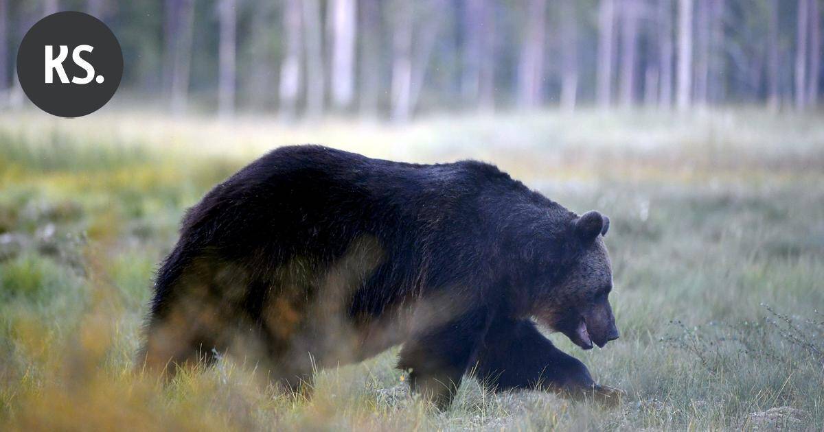 www.kouvolansanomat.fi