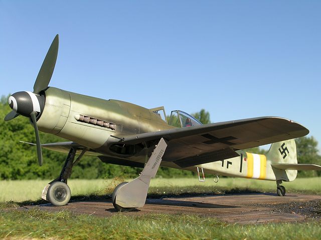 fw190d9bigtailir_01.jpg