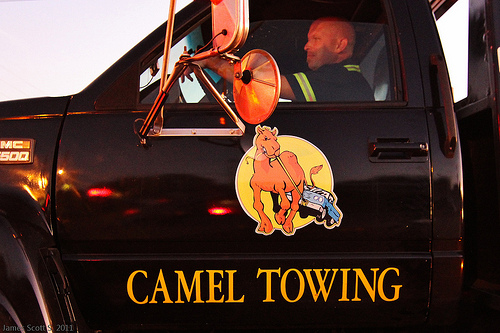 camel-towing-411man.jpg