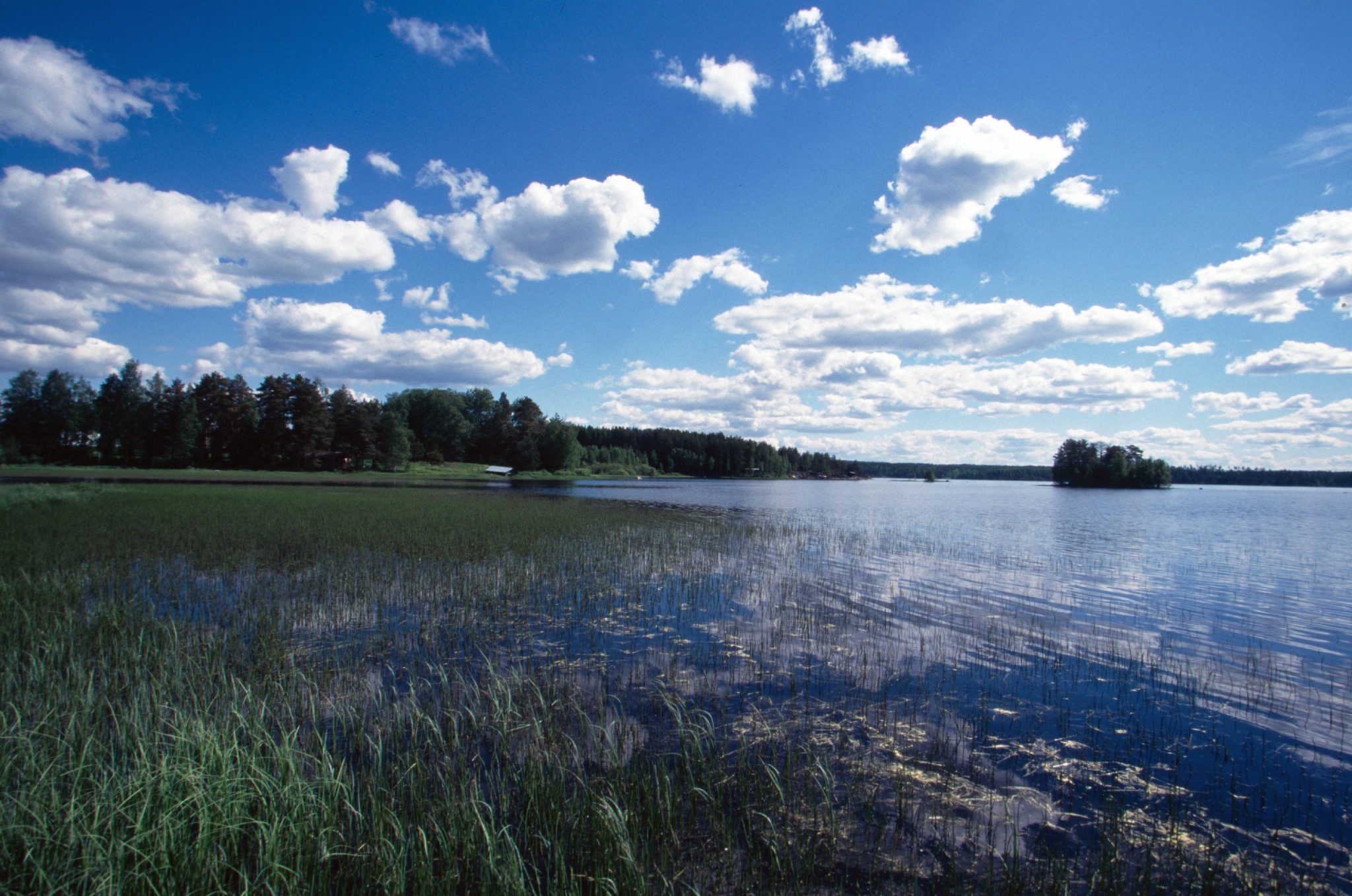 www.verkkouutiset.fi