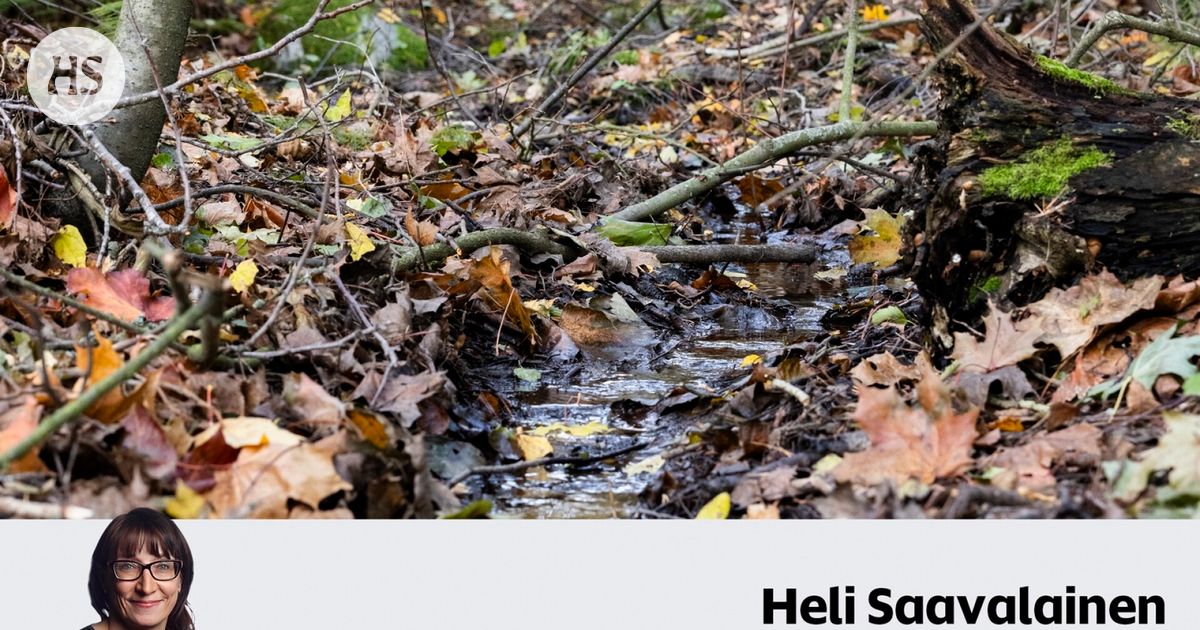 www.hs.fi