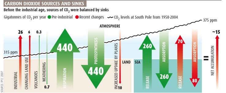 www.newscientist.com