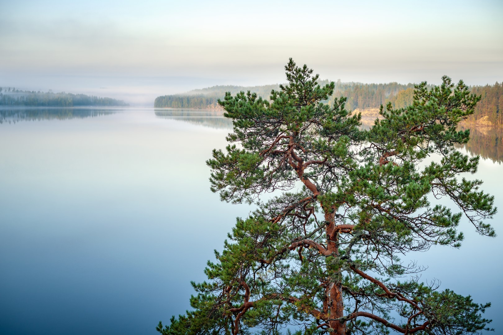 www.tornator.fi