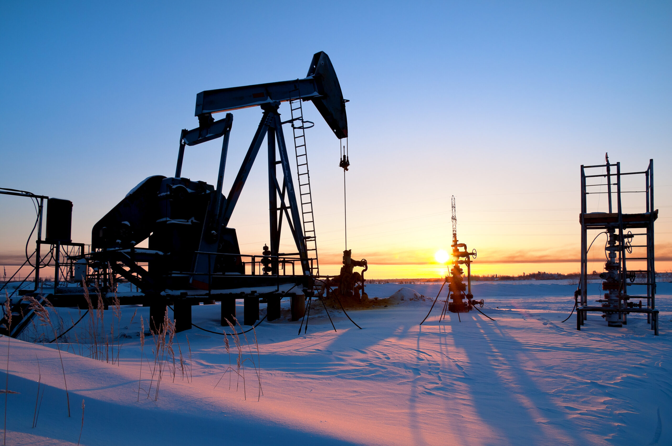 shippingtelegraph.com