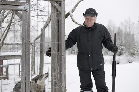 Matti Kinnusen metsästysseura Suomussalmella on Ruhtinan Erä. Hirvenpyynti on tältä syksyltä päättynyt ja jämtlanninpystykorva Manunkin työt tältä erää tehty.