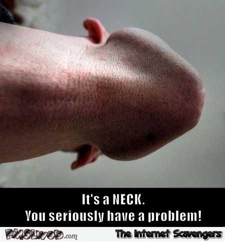 13-funny-you-have-a-dirty-mind-neck-edition.jpg