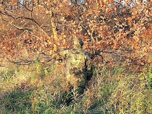 flecktarn_2.jpeg