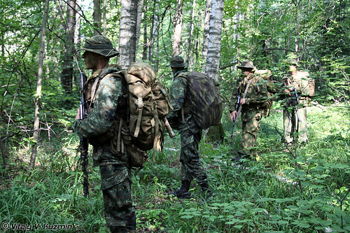 45ORP07-500x333.jpg