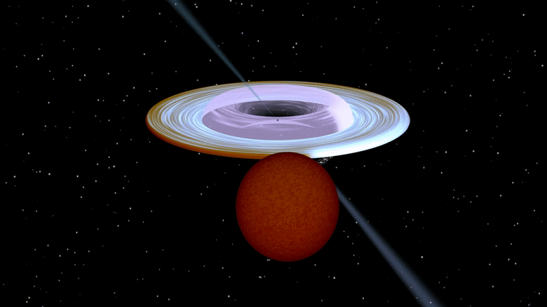 scitechdaily.com