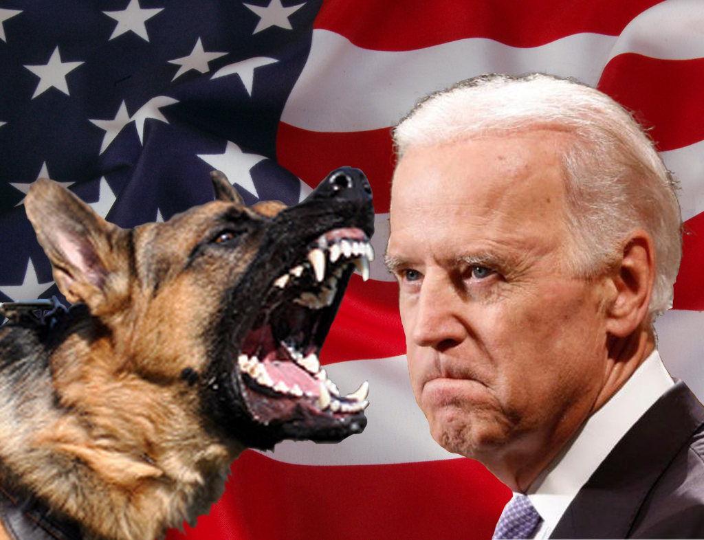 TLB-joebiden-dogbite-1024x786.png