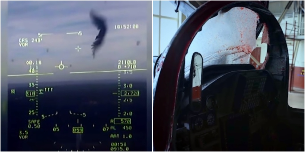 theaviationgeekclub.com