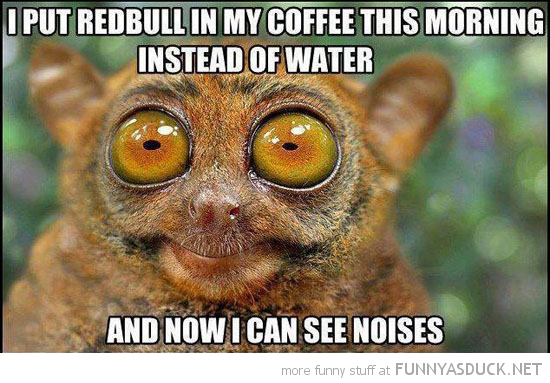 funny-tarsier-monkey-red-bull-coffee-see-noises-pics.jpg