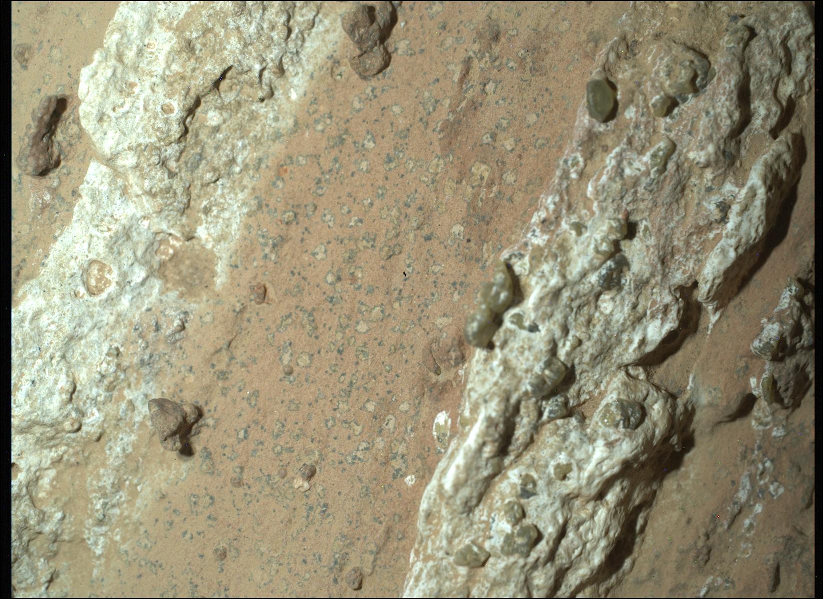 www.nasa.gov