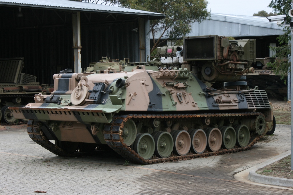 leopard-recovery.jpg