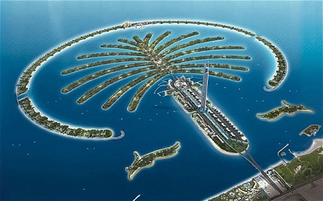 palm_1970288c.jpg