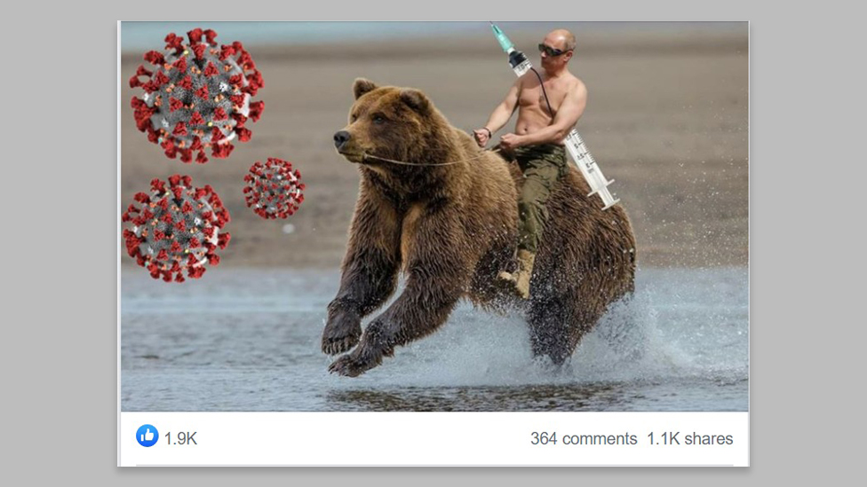 _113939902_bear_grey.jpg