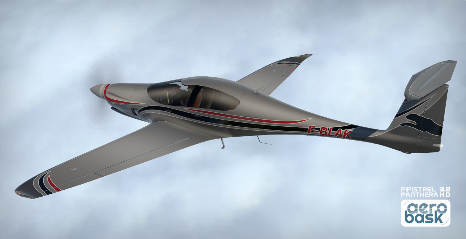 Image result for pipistrel panthera pics