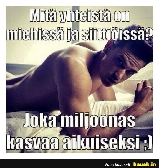 bfa0a2b1e344546a15b517151757ce40.jpg