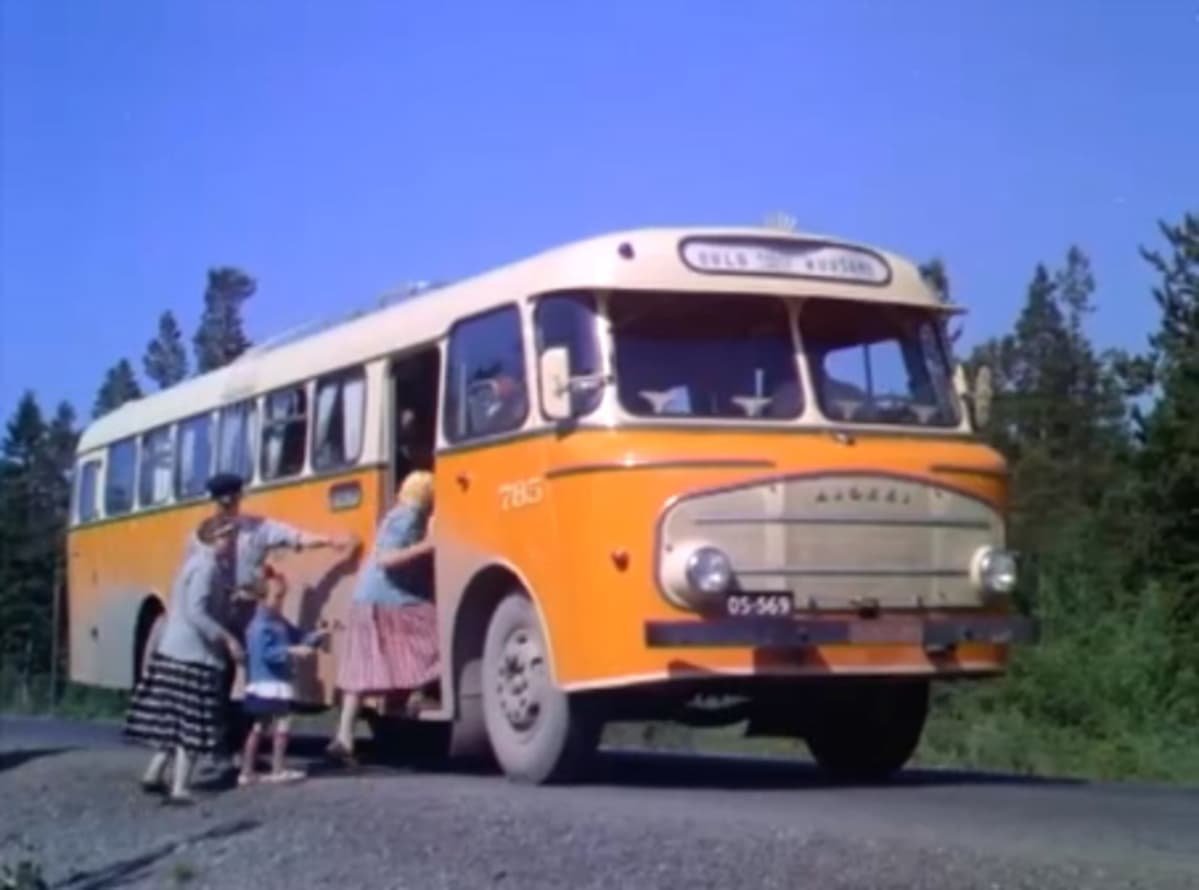 13-3-6957780.jpg